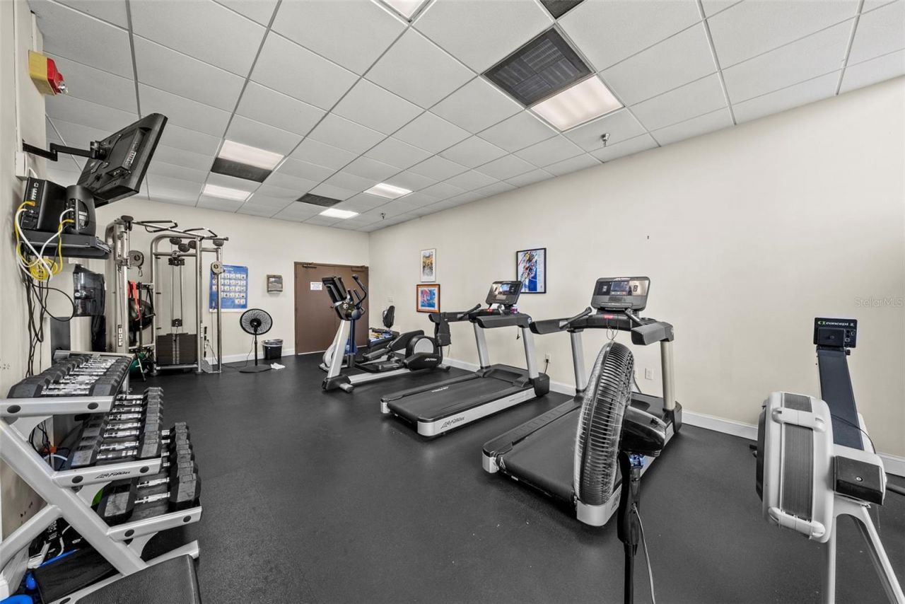 2413 Bayshore Boulevard, Unit 803, Tampa, FL 33629 Photo