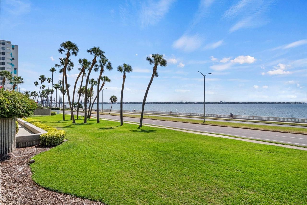 2413 Bayshore Boulevard, Unit 803, Tampa, FL 33629 Photo