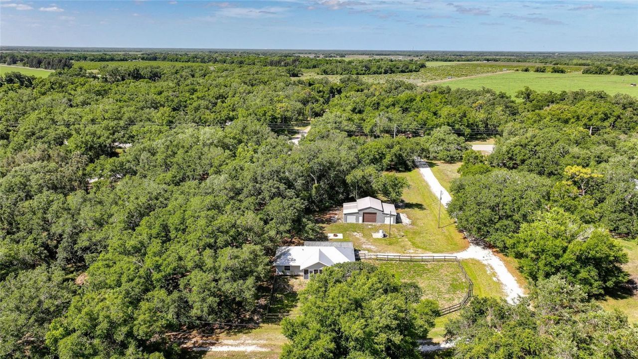 3173 SE Quave Drive, Arcadia, FL 34266 Photo