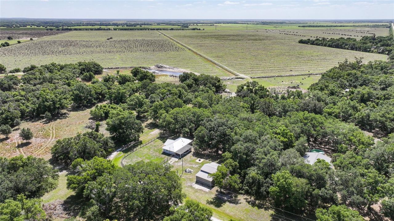 3173 SE Quave Drive, Arcadia, FL 34266 Photo