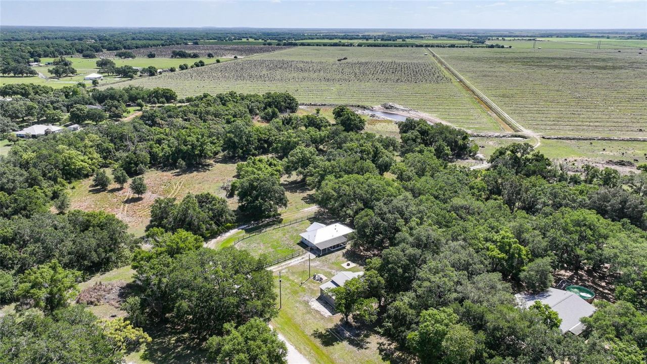 3173 SE Quave Drive, Arcadia, FL 34266 Photo