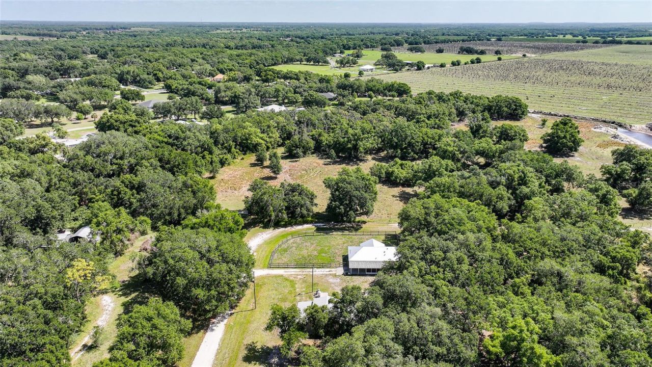 3173 SE Quave Drive, Arcadia, FL 34266 Photo