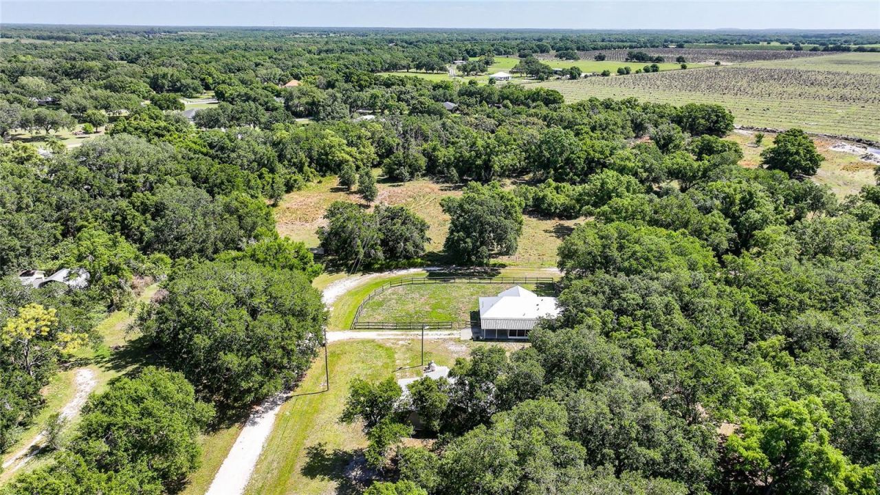 3173 SE Quave Drive, Arcadia, FL 34266 Photo