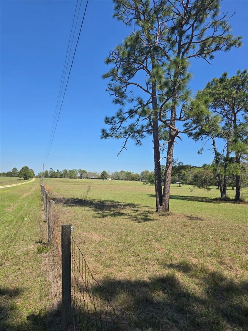 Tdb (lot 1) 55th Place, Mc Alpin, FL 32062 Photo