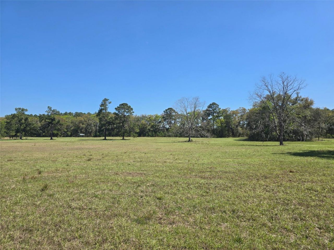 Tdb (lot 1) 55th Place, Mc Alpin, FL 32062 Photo