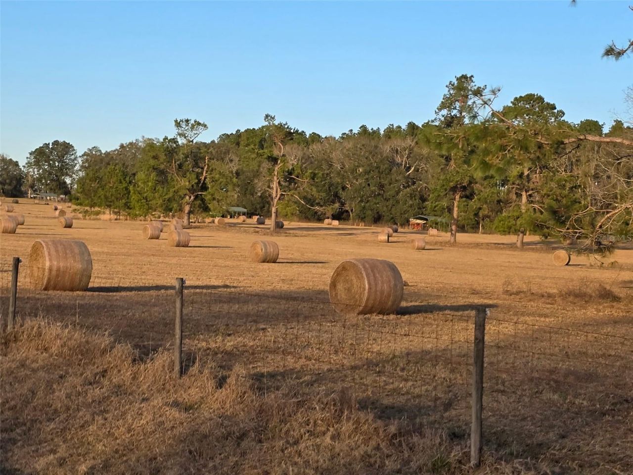 Tdb (lot 1) 55th Place, Mc Alpin, FL 32062 Photo