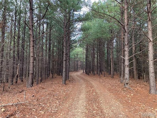 219 Madison CR 410 , Fredericktown, MO 63645