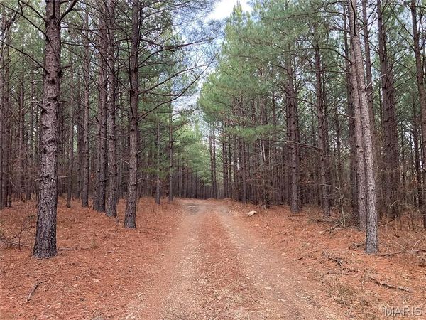 217 Madison CR 410 , Fredericktown, MO 63645