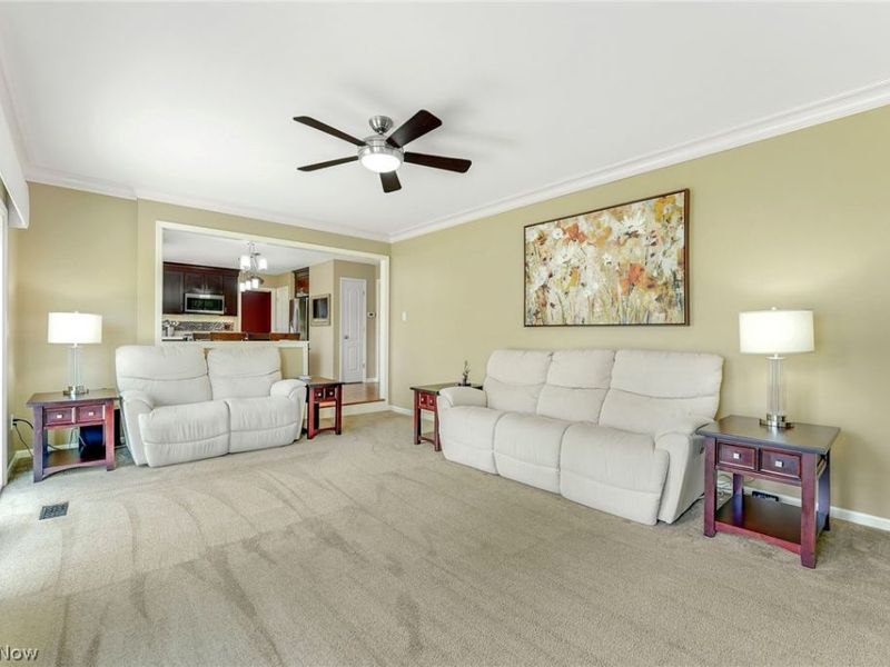 10287 Laura Lane, Twinsburg, OH 44087 Photo 18