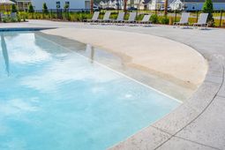 559 Red Monarch Way photo 4