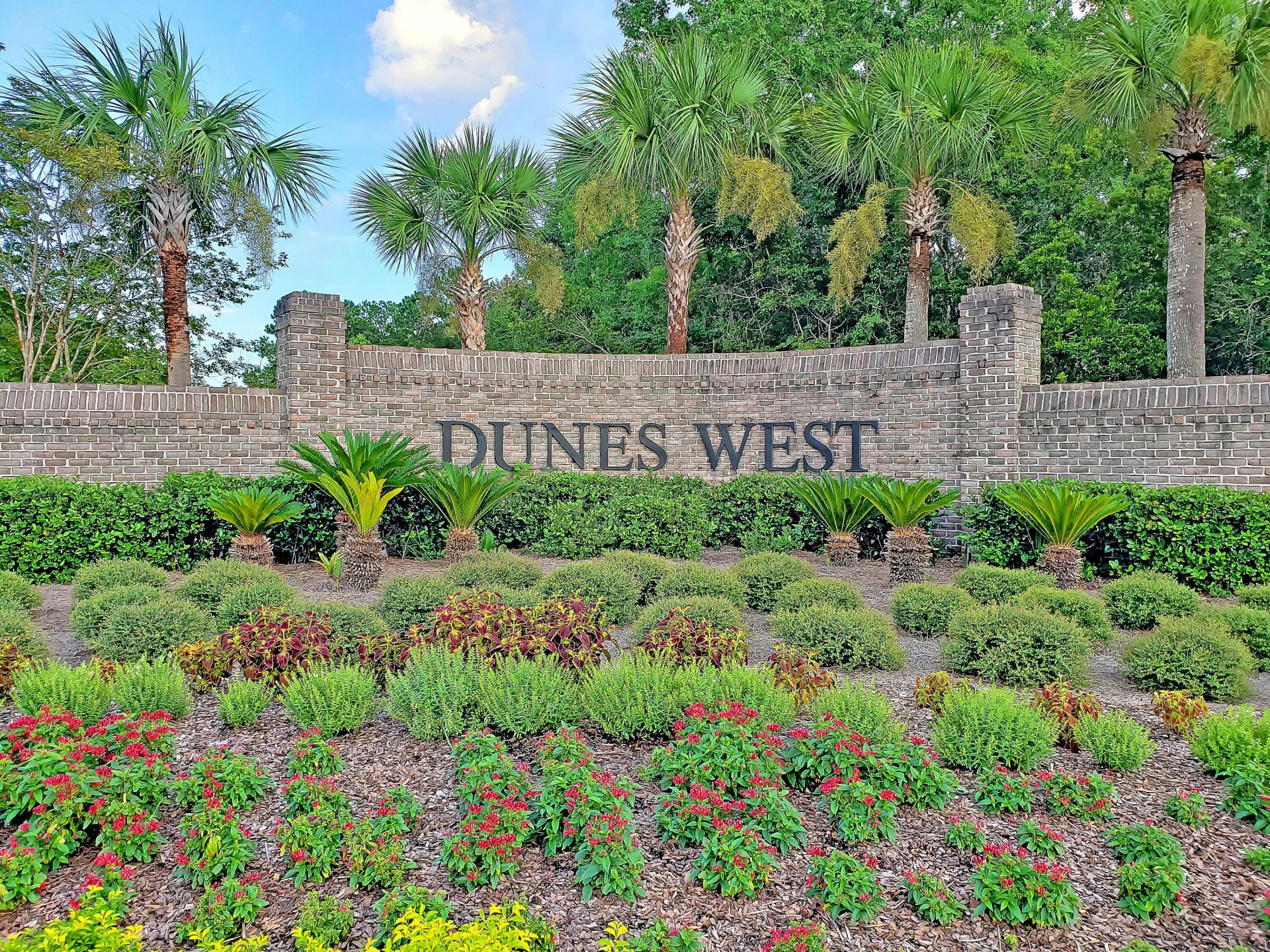 2113 Tall Grass Photo 60