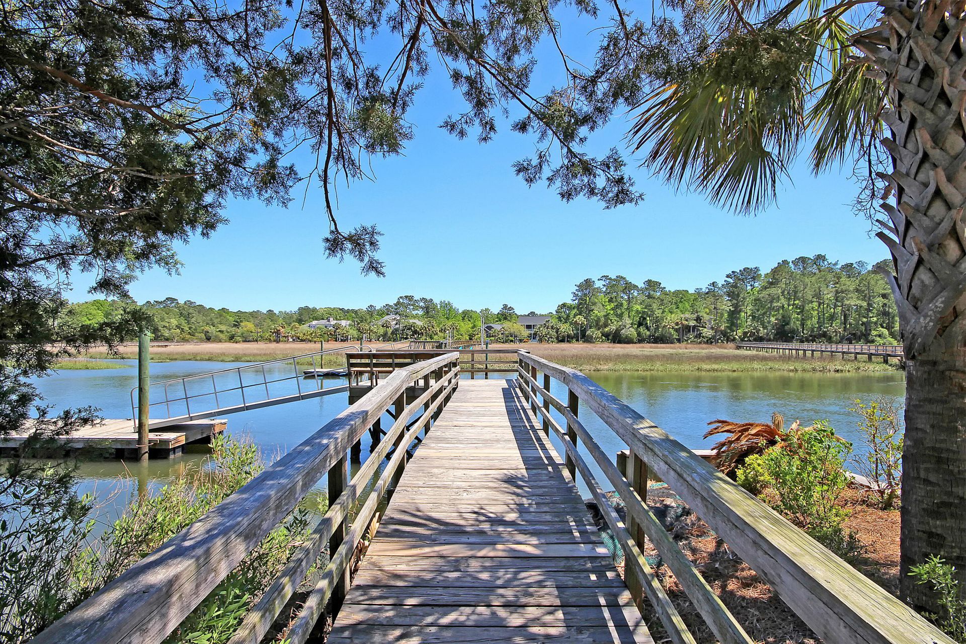 2113 Tall Grass Photo 63