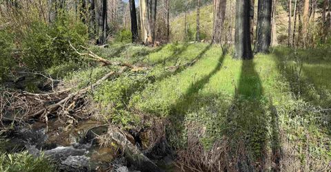 6120 Diamond Mountain Road, Taylorsville, CA 95983 Photo