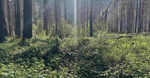 6120 Diamond Mountain Road, Taylorsville, CA 95983 Photo