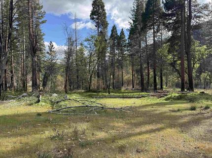 6120 Diamond Mountain Road, Taylorsville, CA 95983 Photo