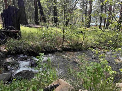 6120 Diamond Mountain Road, Taylorsville, CA 95983 Photo