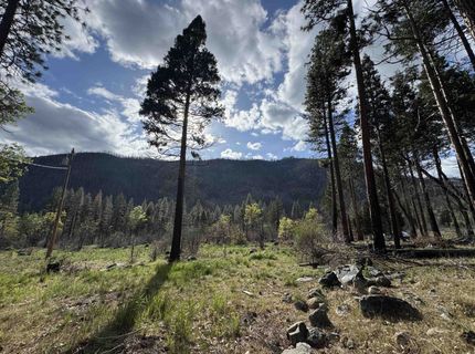 6120 Diamond Mountain Road, Taylorsville, CA 95983 Photo