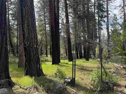6120 Diamond Mountain Road, Taylorsville, CA 95983 Photo