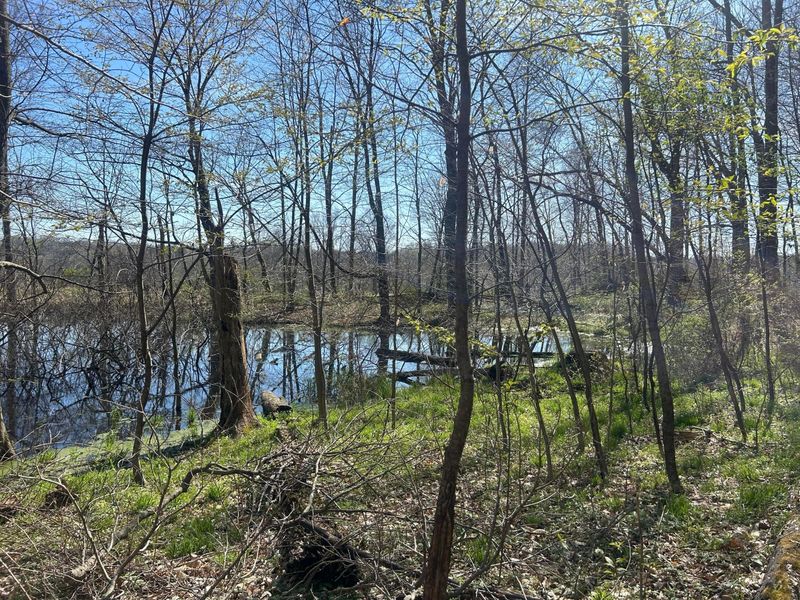 0 County Road 14, Mount Gilead, OH 43338 Photo 10