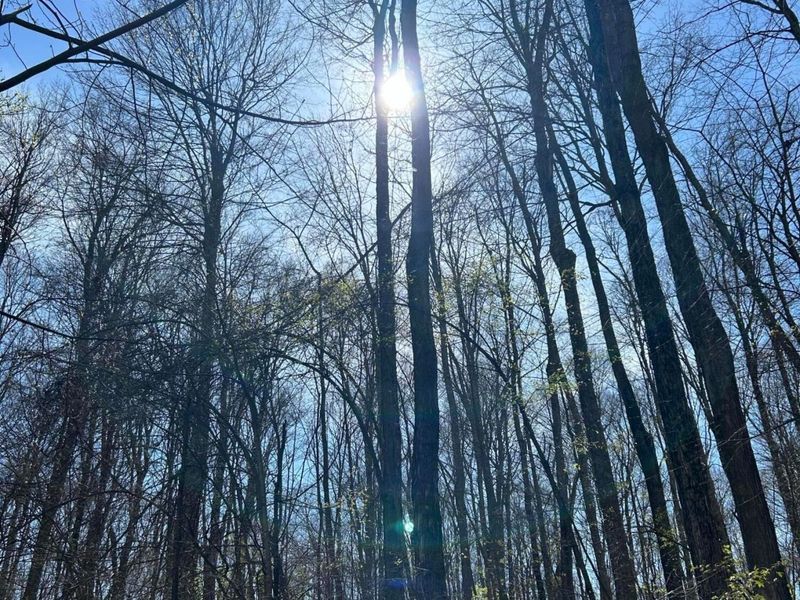 0 County Road 14, Mount Gilead, OH 43338 Photo 15