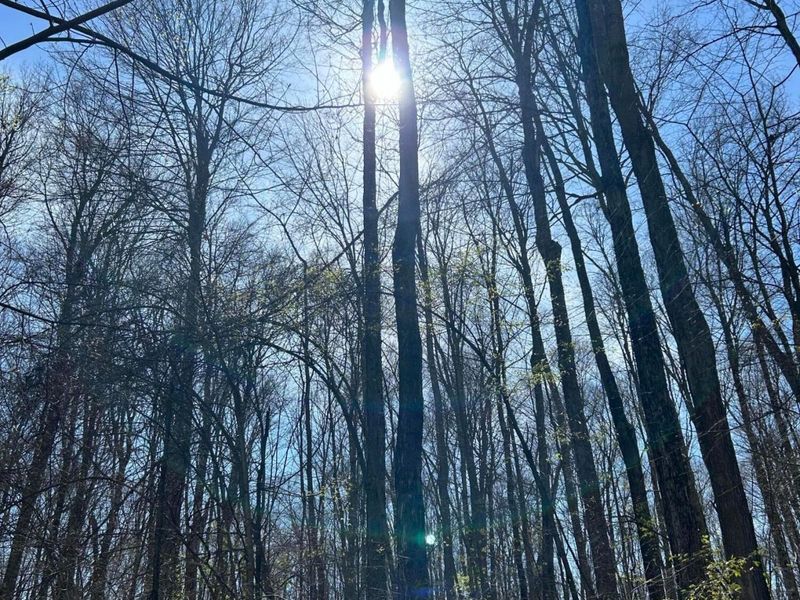 0 County Road 14, Mount Gilead, OH 43338 Photo 16