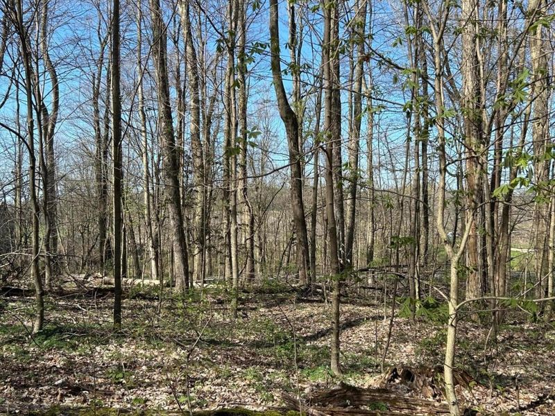 0 County Road 14, Mount Gilead, OH 43338 Photo 19