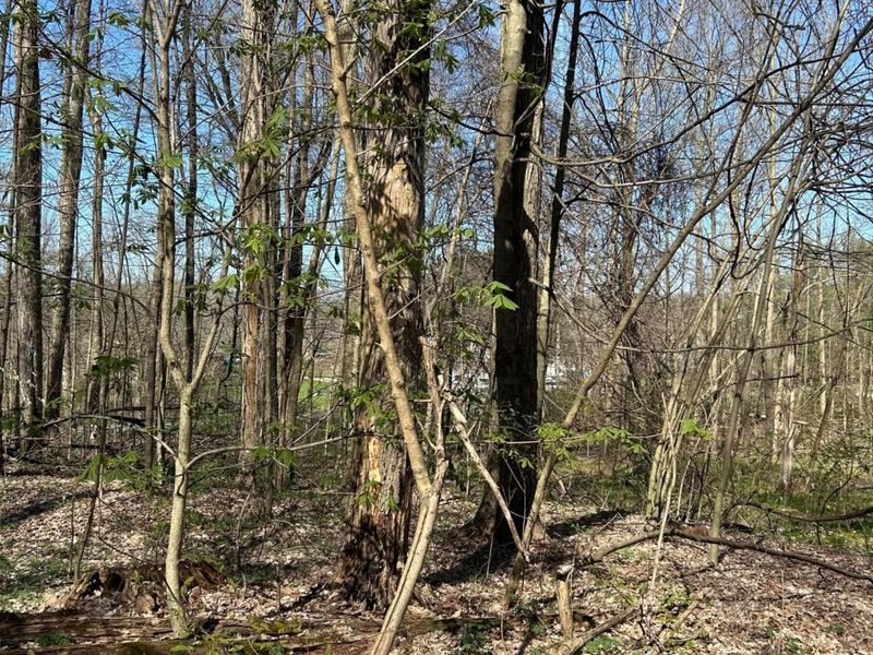 0 County Road 14, Mount Gilead, OH 43338 Photo 20