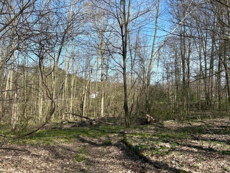 0 County Road 14, Mount Gilead, OH 43338 Photo 21