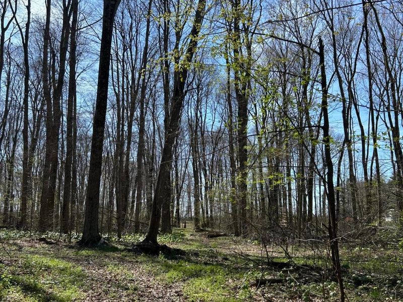 0 County Road 14, Mount Gilead, OH 43338 Photo 22