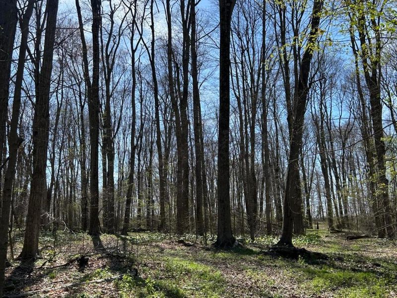 0 County Road 14, Mount Gilead, OH 43338 Photo 23