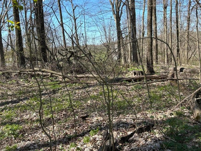 0 County Road 14, Mount Gilead, OH 43338 Photo 24