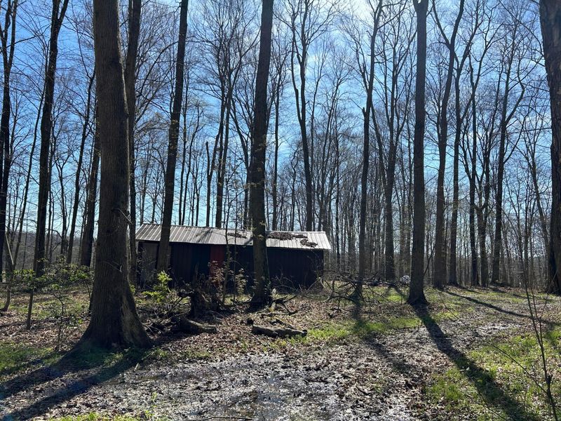 0 County Road 14, Mount Gilead, OH 43338 Photo 29