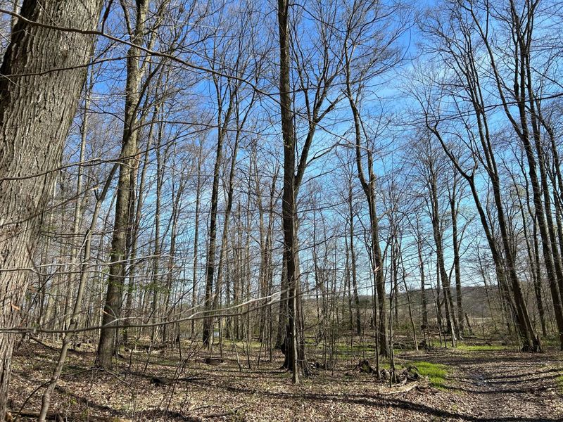 0 County Road 14, Mount Gilead, OH 43338 Photo 32