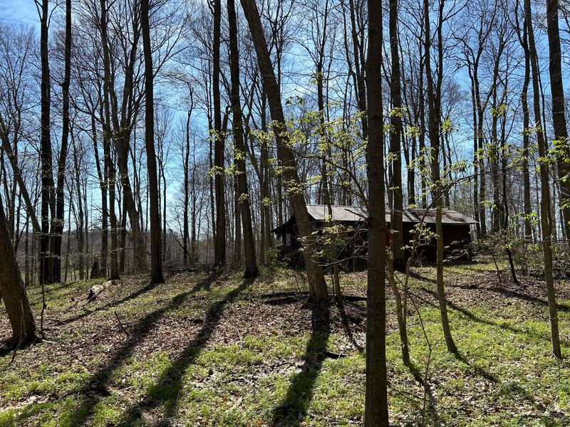 0 County Road 14, Mount Gilead, OH 43338 Photo 34