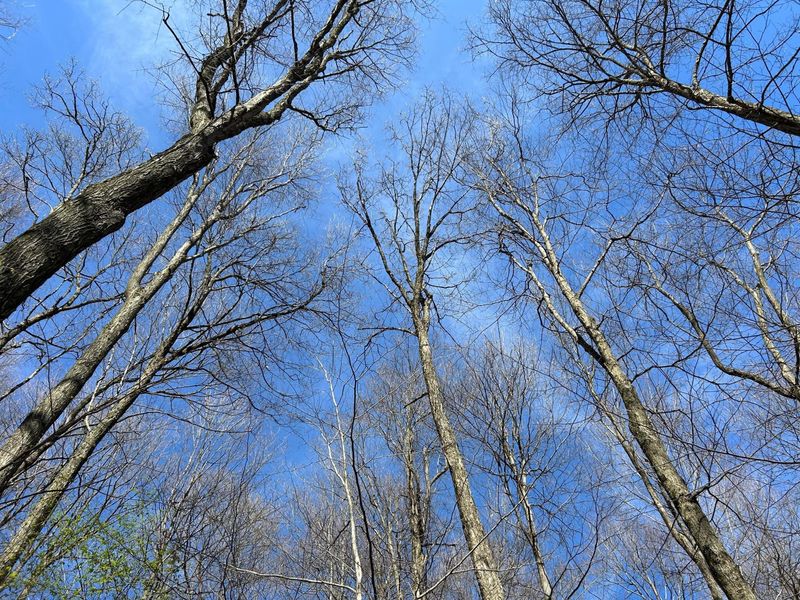 0 County Road 14, Mount Gilead, OH 43338 Photo 35