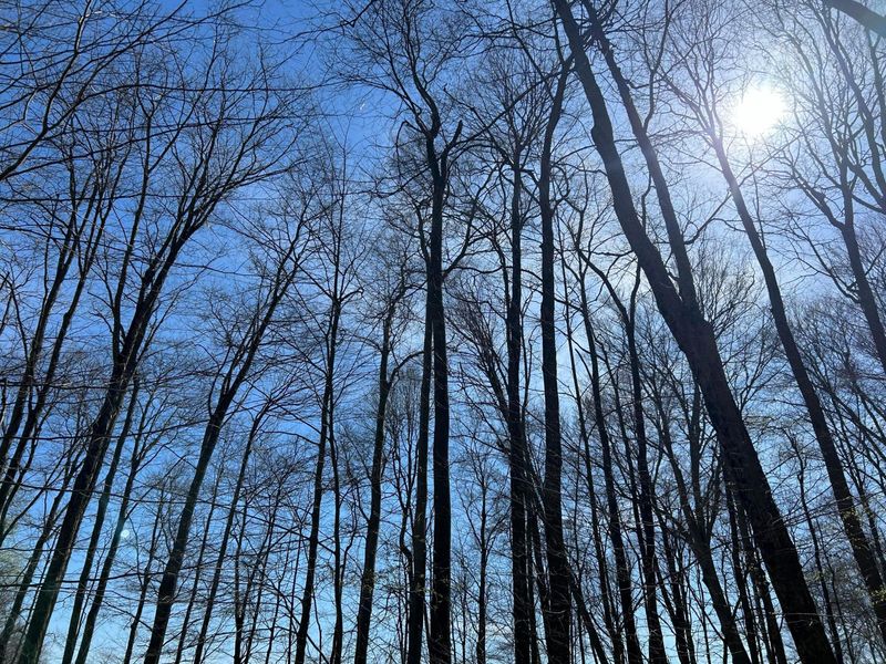 0 County Road 14, Mount Gilead, OH 43338 Photo 36