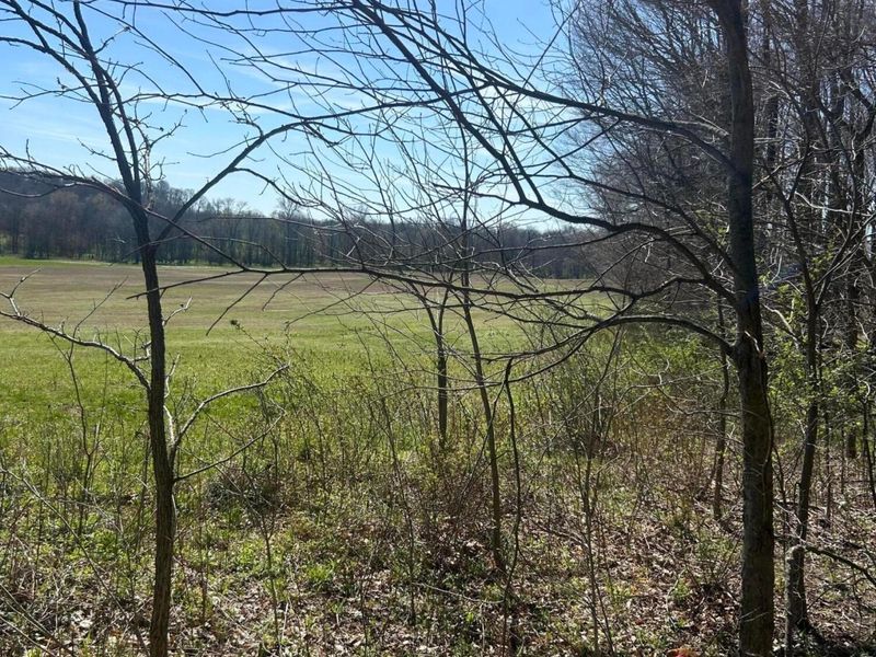 0 County Road 14, Mount Gilead, OH 43338 Photo 37