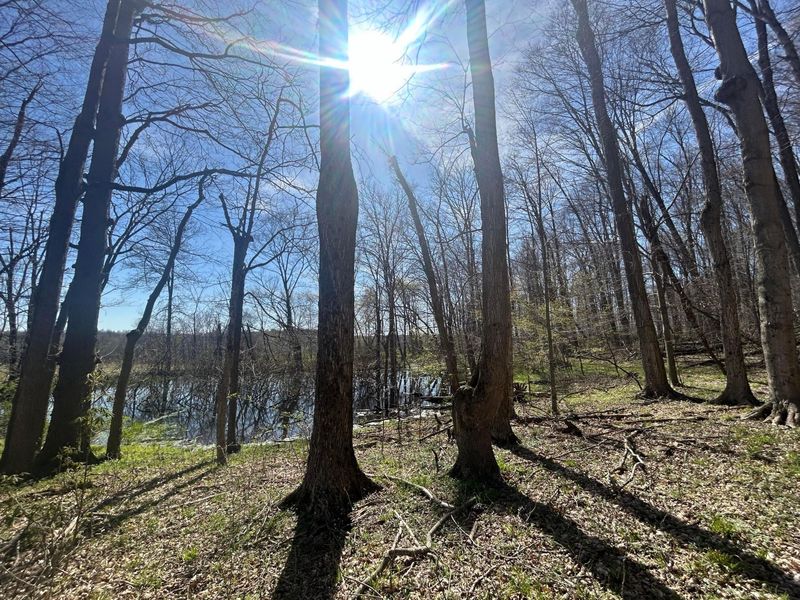 0 County Road 14, Mount Gilead, OH 43338 Photo 38