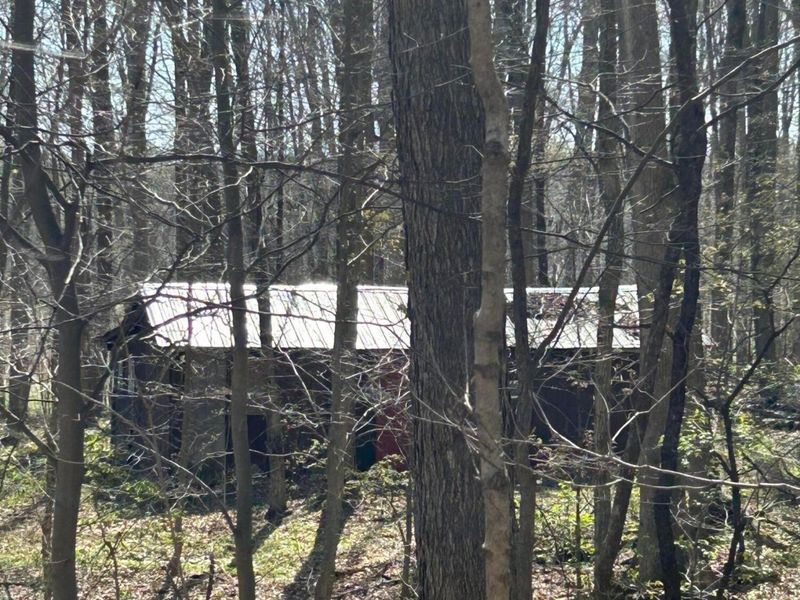 0 County Road 14, Mount Gilead, OH 43338 Photo 40