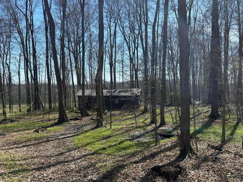 0 County Road 14, Mount Gilead, OH 43338 Photo 41