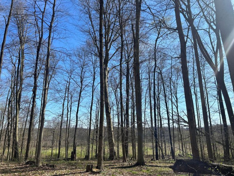 0 County Road 14, Mount Gilead, OH 43338 Photo 43