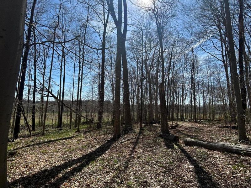 0 County Road 14, Mount Gilead, OH 43338 Photo 48