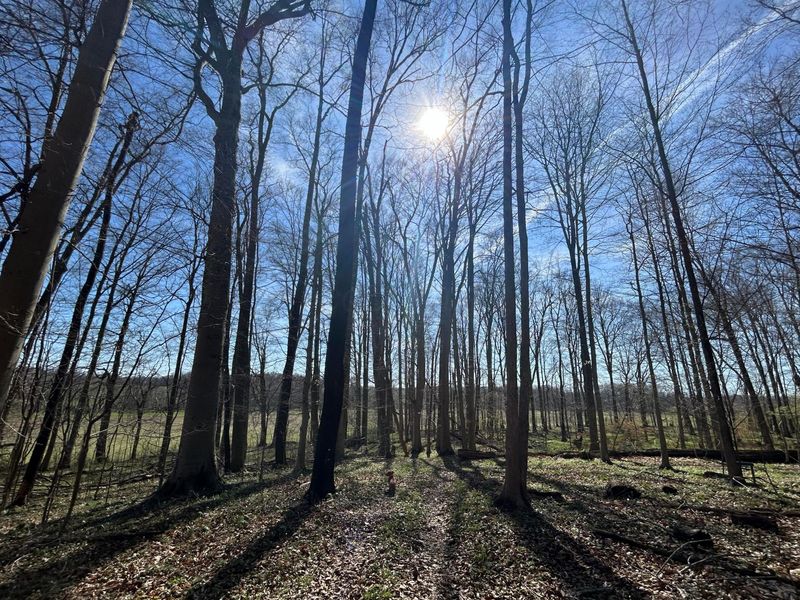 0 County Road 14, Mount Gilead, OH 43338 Photo 50