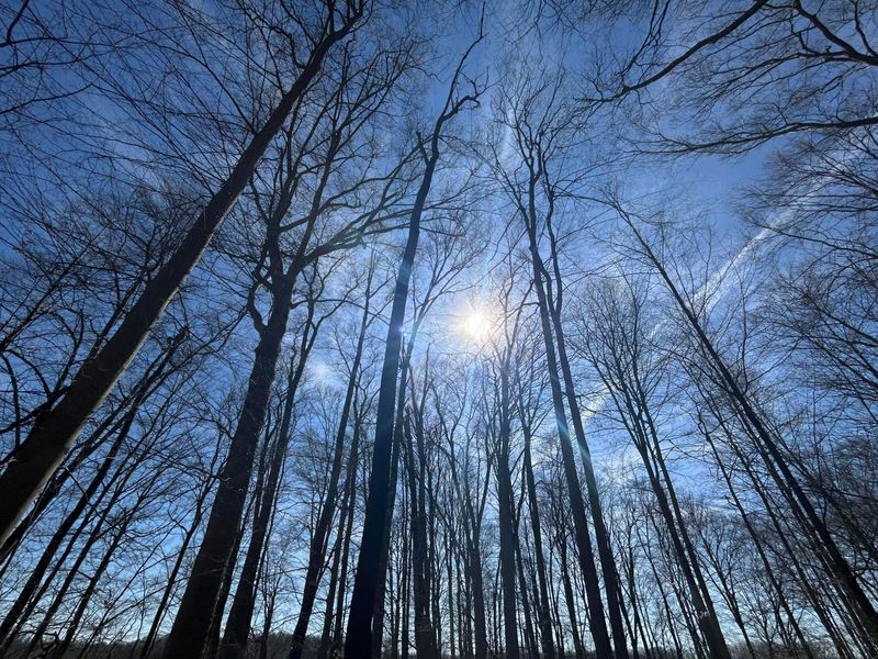 0 County Road 14, Mount Gilead, OH 43338 Photo 51