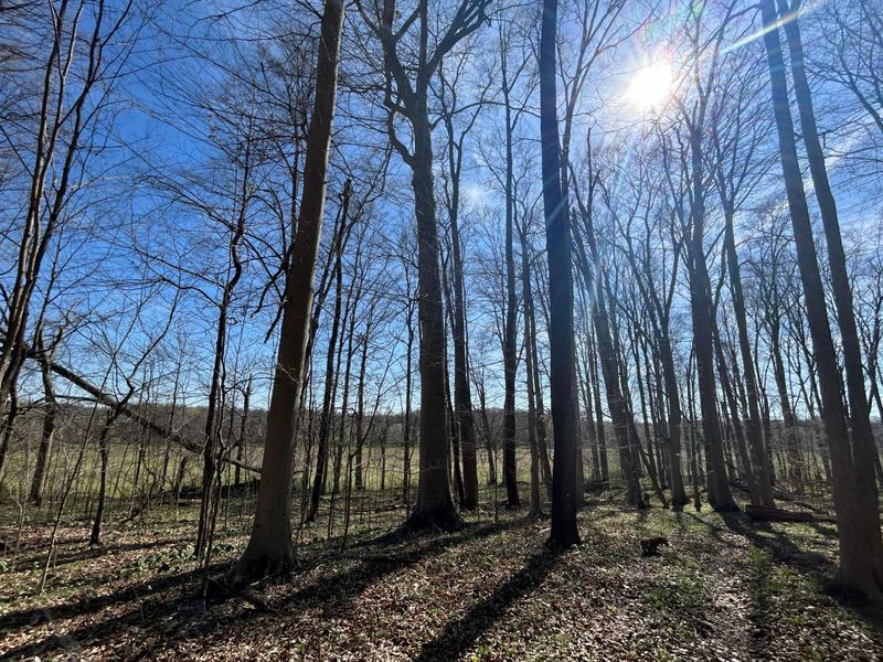 0 County Road 14, Mount Gilead, OH 43338 Photo 52