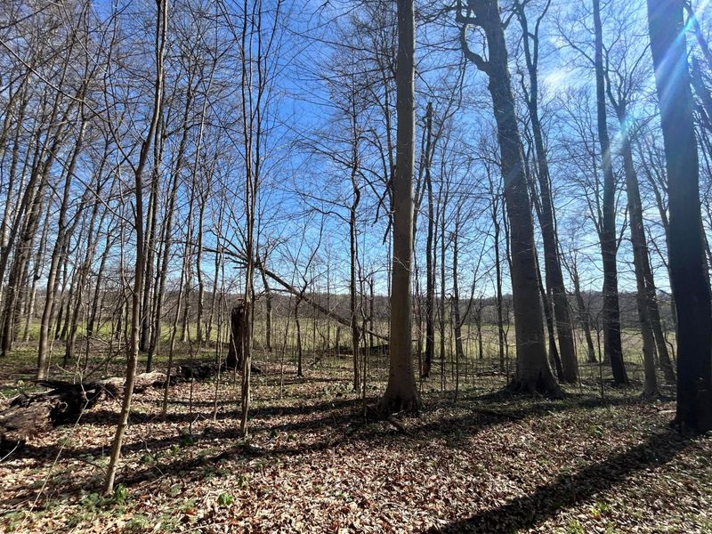 0 County Road 14, Mount Gilead, OH 43338 Photo 53