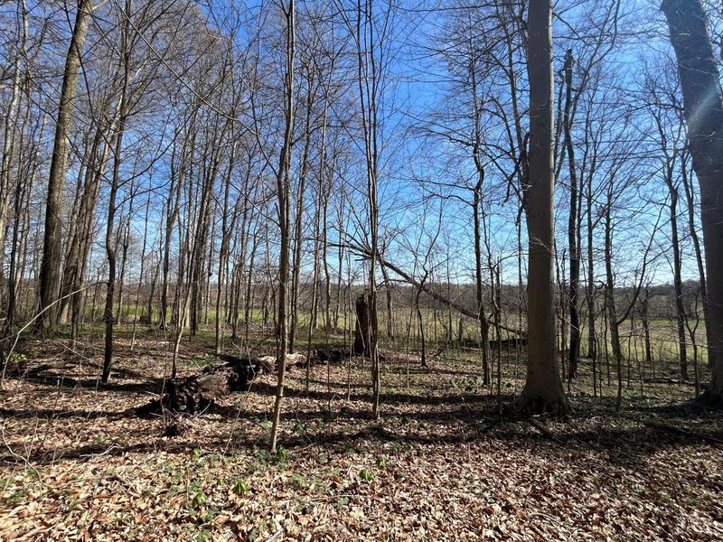 0 County Road 14, Mount Gilead, OH 43338 Photo 54