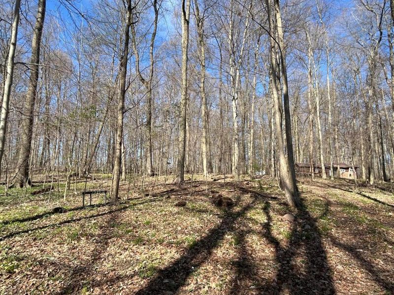 0 County Road 14, Mount Gilead, OH 43338 Photo 55