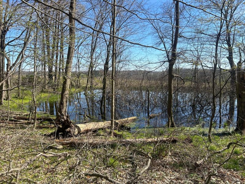 0 County Road 14, Mount Gilead, OH 43338 Photo 8