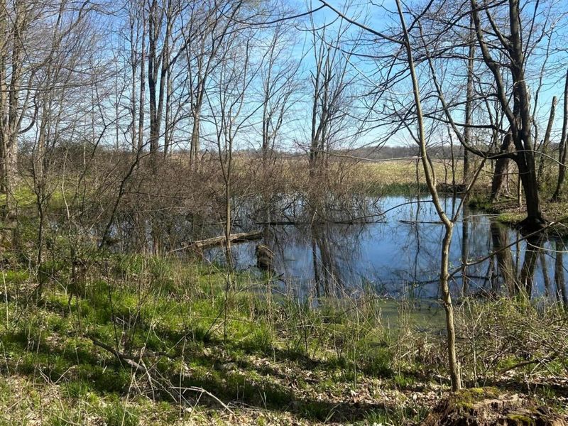 0 County Road 14, Mount Gilead, OH 43338 Photo 9